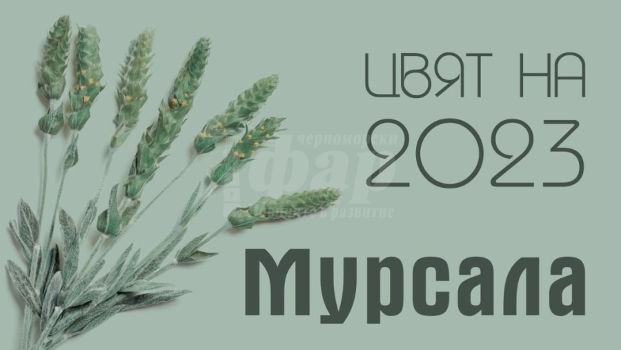  „Мурсала“ е цветът на 2023 година 